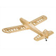 Avion Astral Junior kit bois 138cm DW Hobby