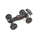 Buggy Pirate Booster de T2M