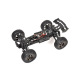 Buggy Pirate Mamba de T2M