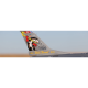 Jet F-16 Falcon 80mm EDF BNF Basic SAFE de E-Flite