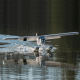 Avion TIMBER - PNP - AS3X - env 1.50m d'E-Flite