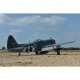 Avion P-47 Thunderbolt 50-60cc - Black Horse