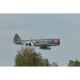 Avion P-47 Thunderbolt 50-60cc - Black Horse