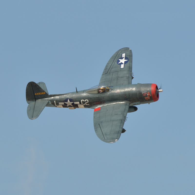 Black Horse - P-47 Thunderbolt ARF 50-60cc _ R-MODELS