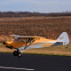 Avion Carbon Cub 15cc ARF 90" de Hangar 9