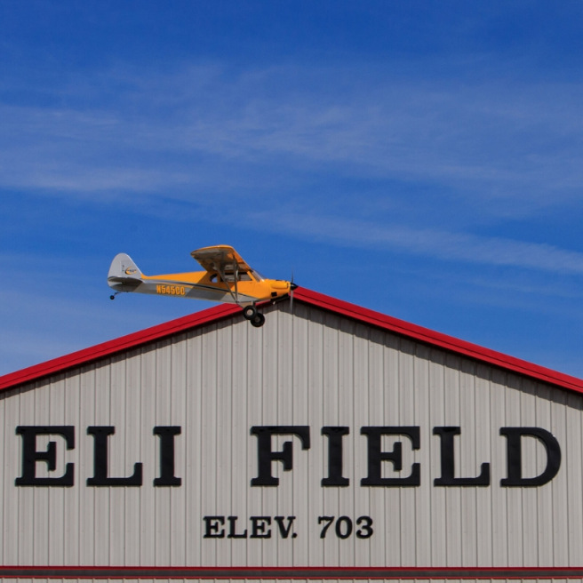 Avion Carbon Cub 15cc ARF 90" de Hangar 9