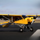 Avion Carbon Cub 15cc ARF 90" de Hangar 9