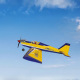 Avion trainer ailes basses Sport V2 40 ARF de Seagull