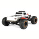 Buggy Pirate Blazer Truck 4WD 1/10 RTR de T2M