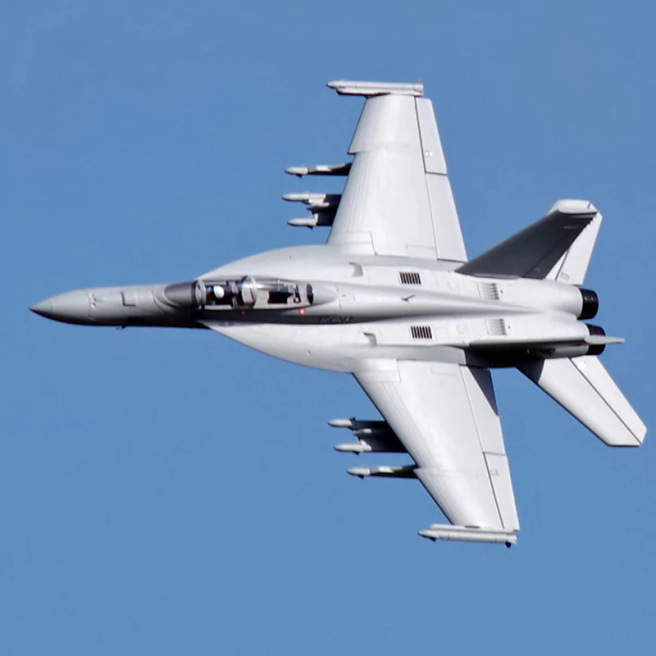 Jet 70mm EDF F/A-18F Super hornet 1/7 PNP Gris kit w/ reflex system de RocHobby