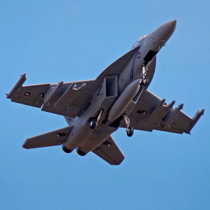 Jet 70mm EDF F/A-18F Super hornet 1/7 PNP Gris kit w/ reflex system de RocHobby