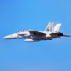 Jet 70mm EDF F/A-18F Super hornet 1/7 PNP Gris kit w/ reflex system de RocHobby