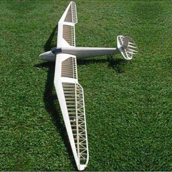 Planeur MINIMOA 1936 - Kit - 3400mm - Krick