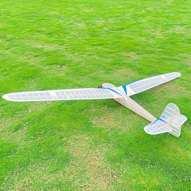 Planeur Lippisch G108 kit de Value Planes