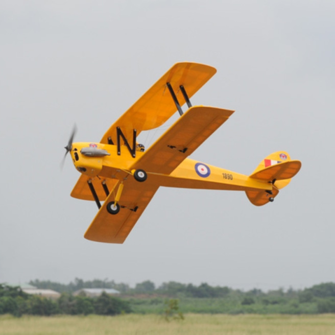 Avion Tiger Moth GP/EP ARF 140 cm de Phoenix Model