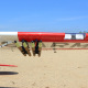 Avion Cessna Bird Dog Giant Scale « DeadEye » 70-125cc 310cm ARF de Seagull Models