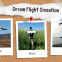 Dream Flight Sensation Planeur