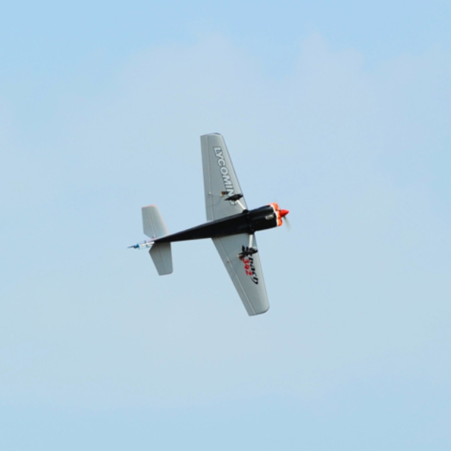 Avion Sbach 342 1400mm - Phoenix Model