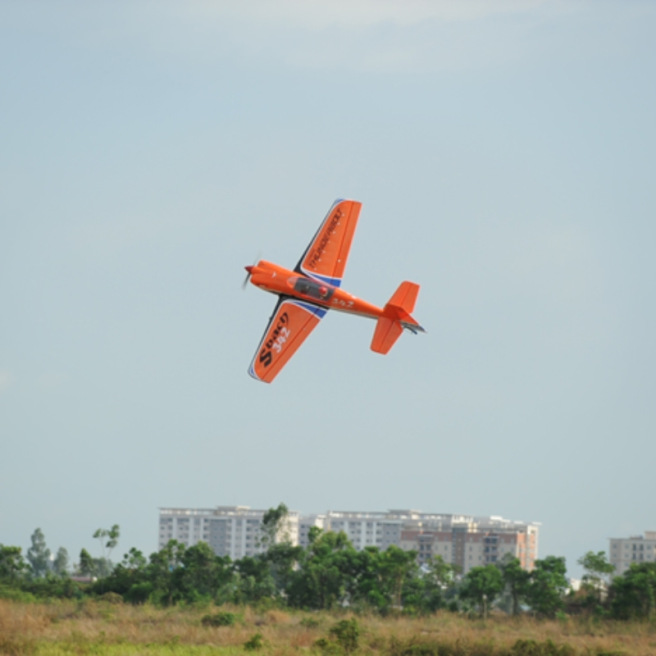 Avion Sbach 342 1400mm - Phoenix Model