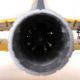 Jet Habu XS eXtra Sport 80mm EDF BNF Basic & PNP de E-Flite