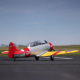 Avion SNJ-5/AT-6 Texan 1.5m PNP de E-Flite