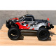 Truggy Pirate XT-T 1/10 Brushless RTR de T2M