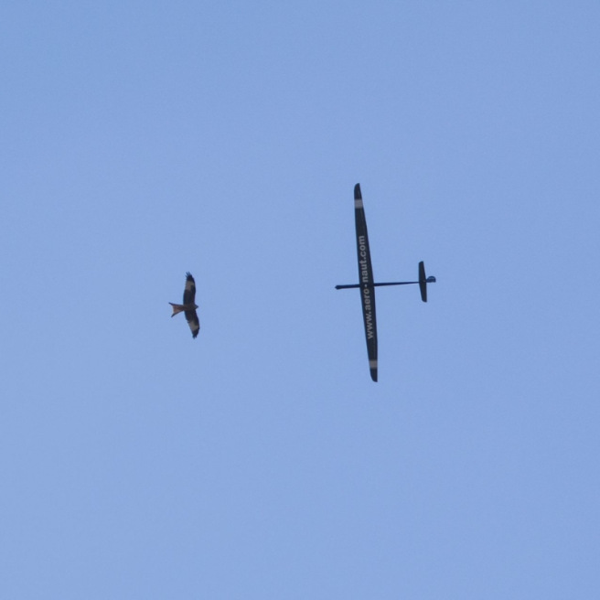 Planeur Spike 3,45 m en kit à construire de Aero-naut