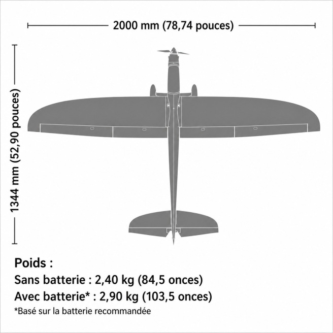 Planeur Conscendo 2.0 m 2000 mm PNP / BNF Basic de E-flite