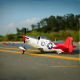 Avion Warbird P-51D Red Tail V8 1450 mm PNP de FMS