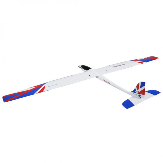 Planeur électrique Prabus 2640 mm ARF de Black Horse