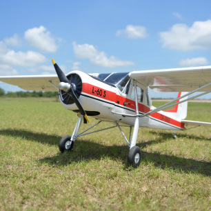 Avion semi-maquette L-60 Brigadýr 2668 mm ARF de Black Horse