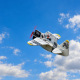 Avions indoor Cartoon Warbirds Mustang P-51 / Texan / Spitfire de RC Factory