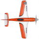 Avions FunRacer RR de Multiplex - Env. 920 mm