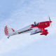 Avion SpaceWalker EP PNP ARF de Freewing - Env: 1120 mm