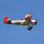 Biplan Stearman Red Baron 20cc Seagull - Env. 1816mm