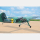 Avion Fieseler Storch Fi156C 35cc ARF Black Horse