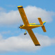 Avion Air Tractor BNF Basic with AS3X & SAFE Select d'E-Flite
