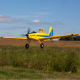 Avion Air Tractor BNF Basic with AS3X & SAFE Select d'E-Flite