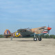 Avion P-40C Tomahawk 60cc ARF - Black Horse