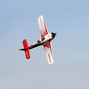 Avion RaceWulf RR de Multiplex