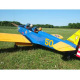 Avion PT-19 Giant 90-120 de Seagull