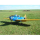 Avion PT-19 Giant 90-120 de Seagull