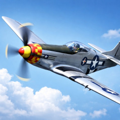 Warbirds