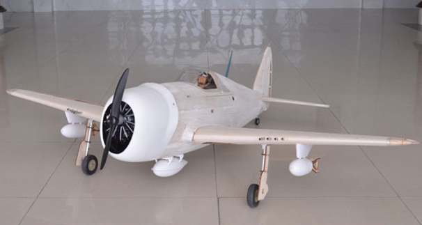 P-47 Thunderbolt Master Scale Kit Editio